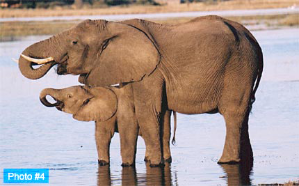 Available mounted on greeting cards. Email your order to orders@eglinpix.com.