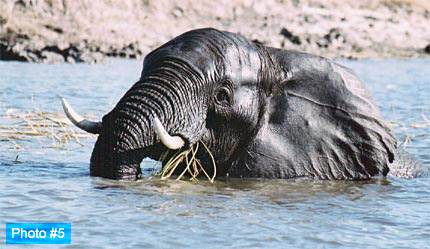 Available mounted on greeting cards. Email your order to orders@eglinpix.com.